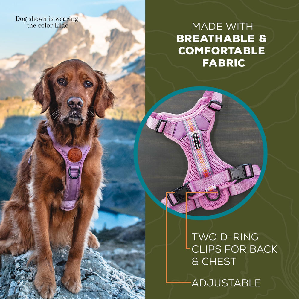 Arnés Wilderdog con asa superior para control cercano.