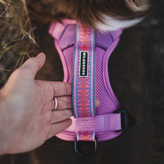 Arnés Wilderdog con dos anillos en D para control delantero y trasero.