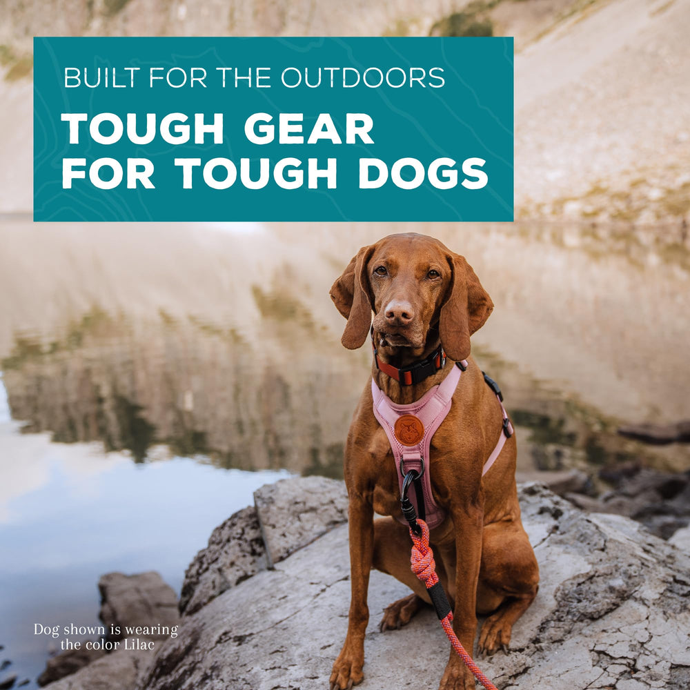 Arnés Wilderdog de malla transpirable para salidas largas.