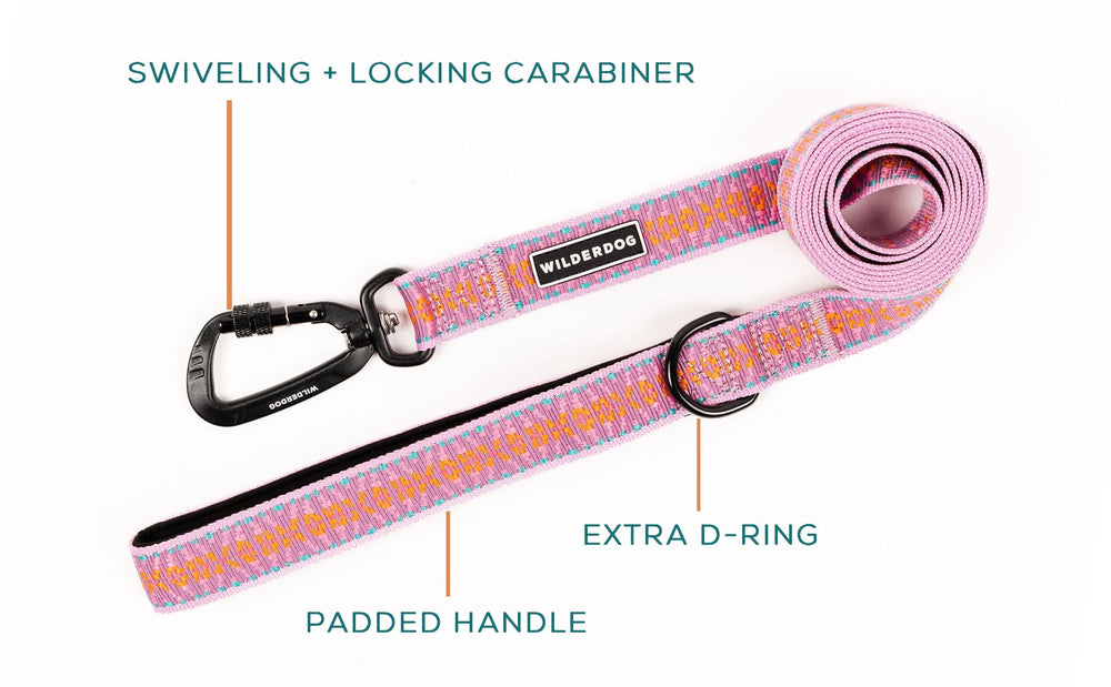 Wilderdog: asa acolchada con anillo D para agarre cómodo.