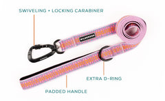 Wilderdog: asa acolchada con anillo D para agarre cómodo.