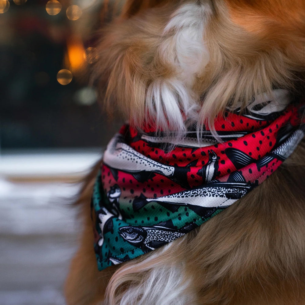 Bandana Wilderdog tejido suave para juego y comodidad.
