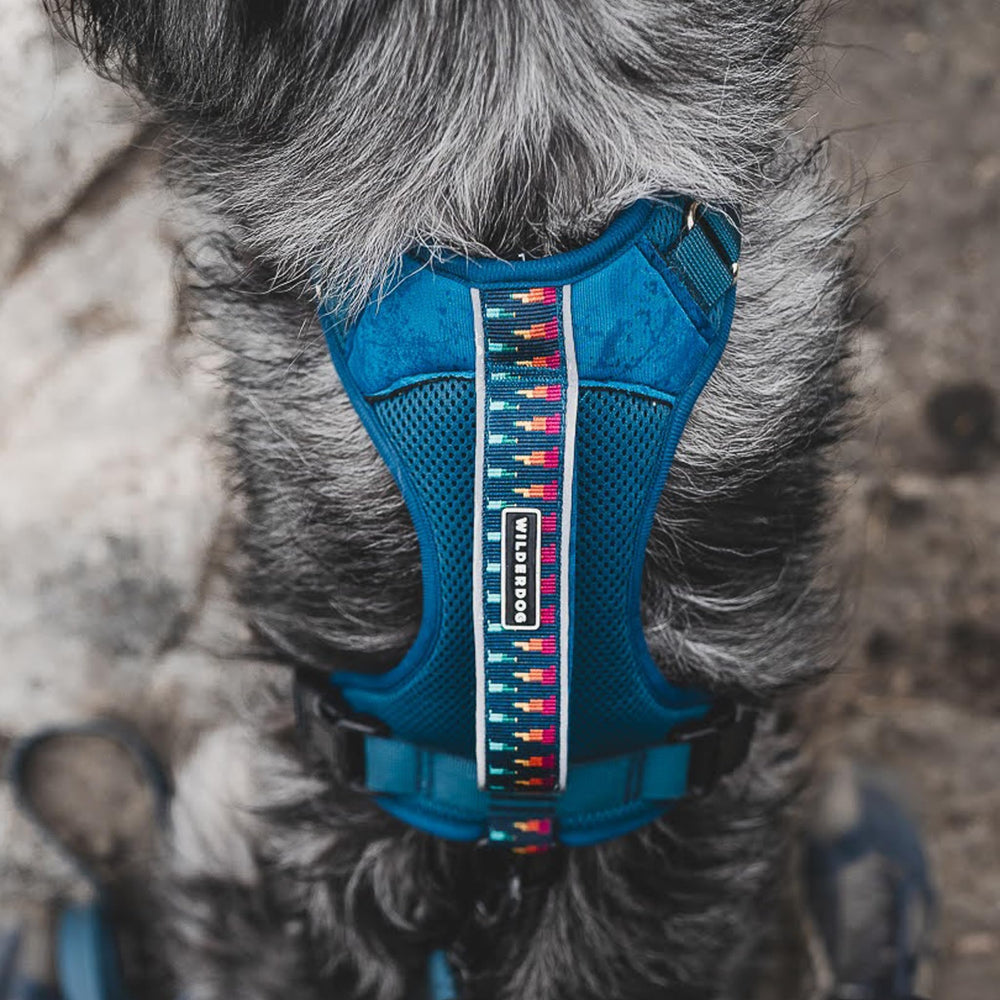 Wilderdog correas reflectantes para caminatas nocturnas seguras