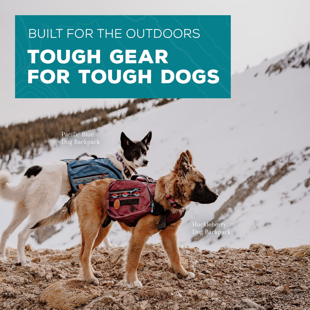 Dispenser de bolsas Wilderdog para limpieza rápida