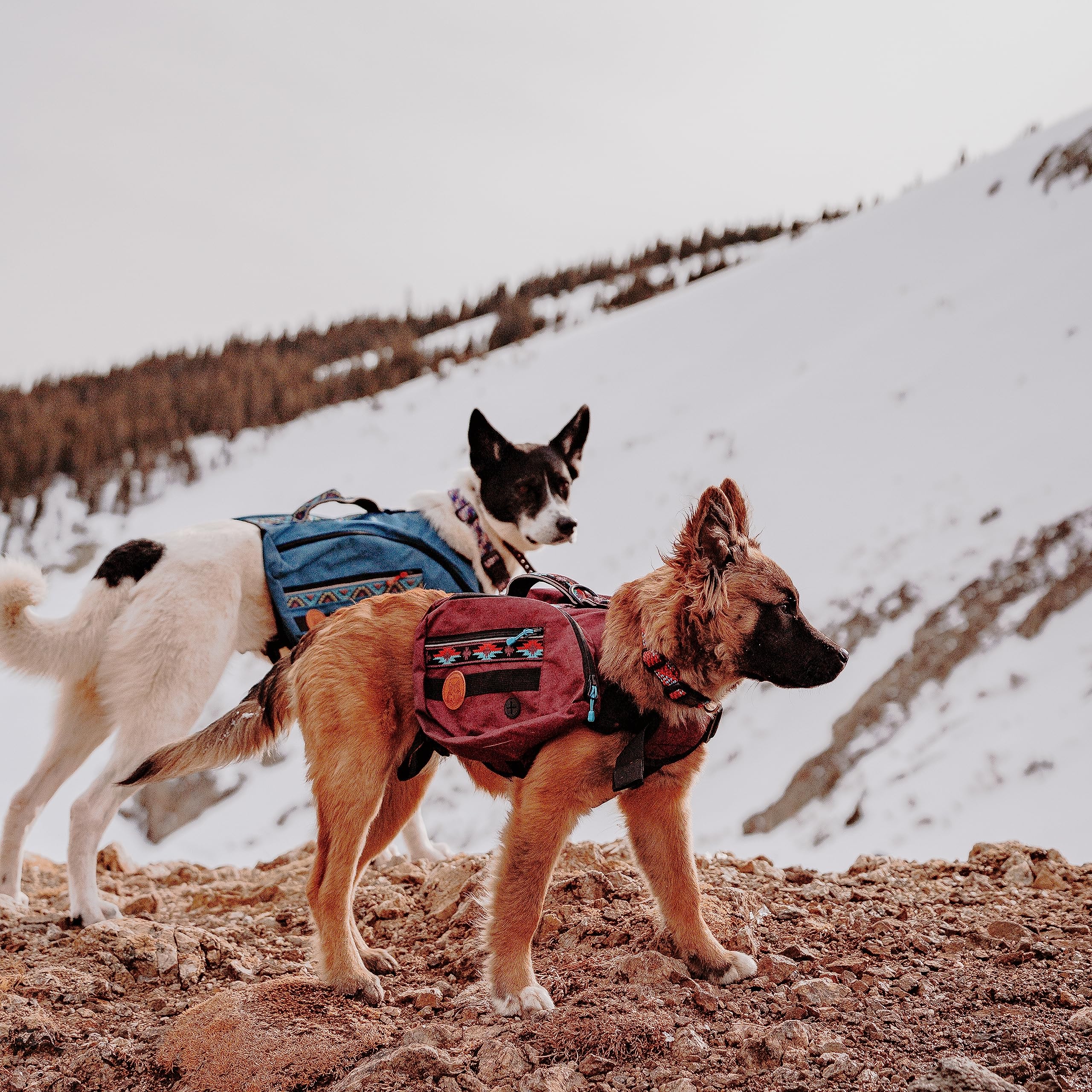 Tejido resistente al agua de Wilderdog, ideal para salidas en varias condiciones.