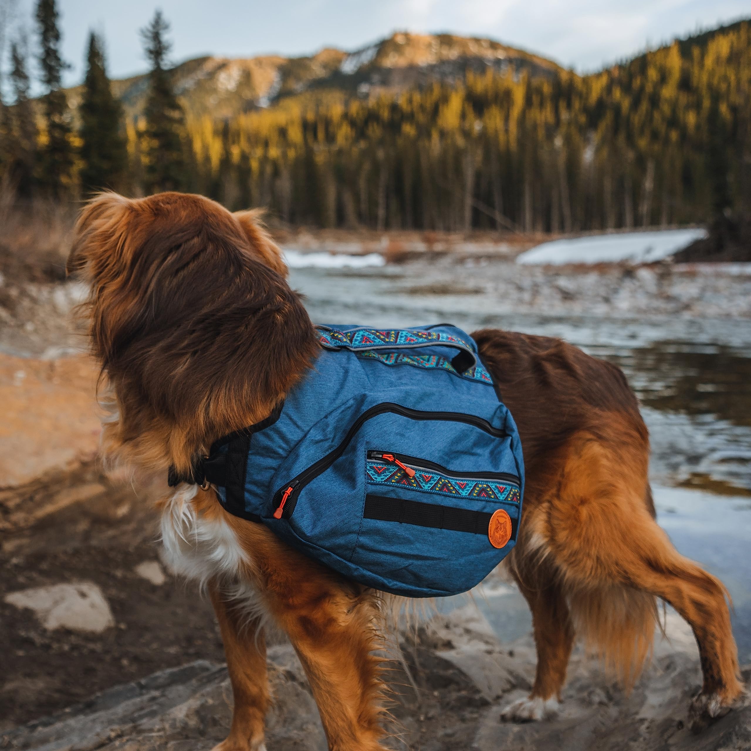Puntos de fijación cosidos Wilderdog para mosquetones