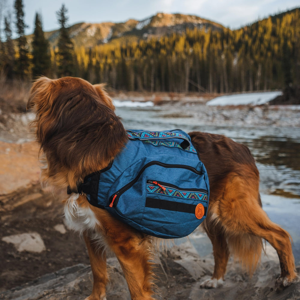 Puntos de fijación cosidos Wilderdog para mosquetones