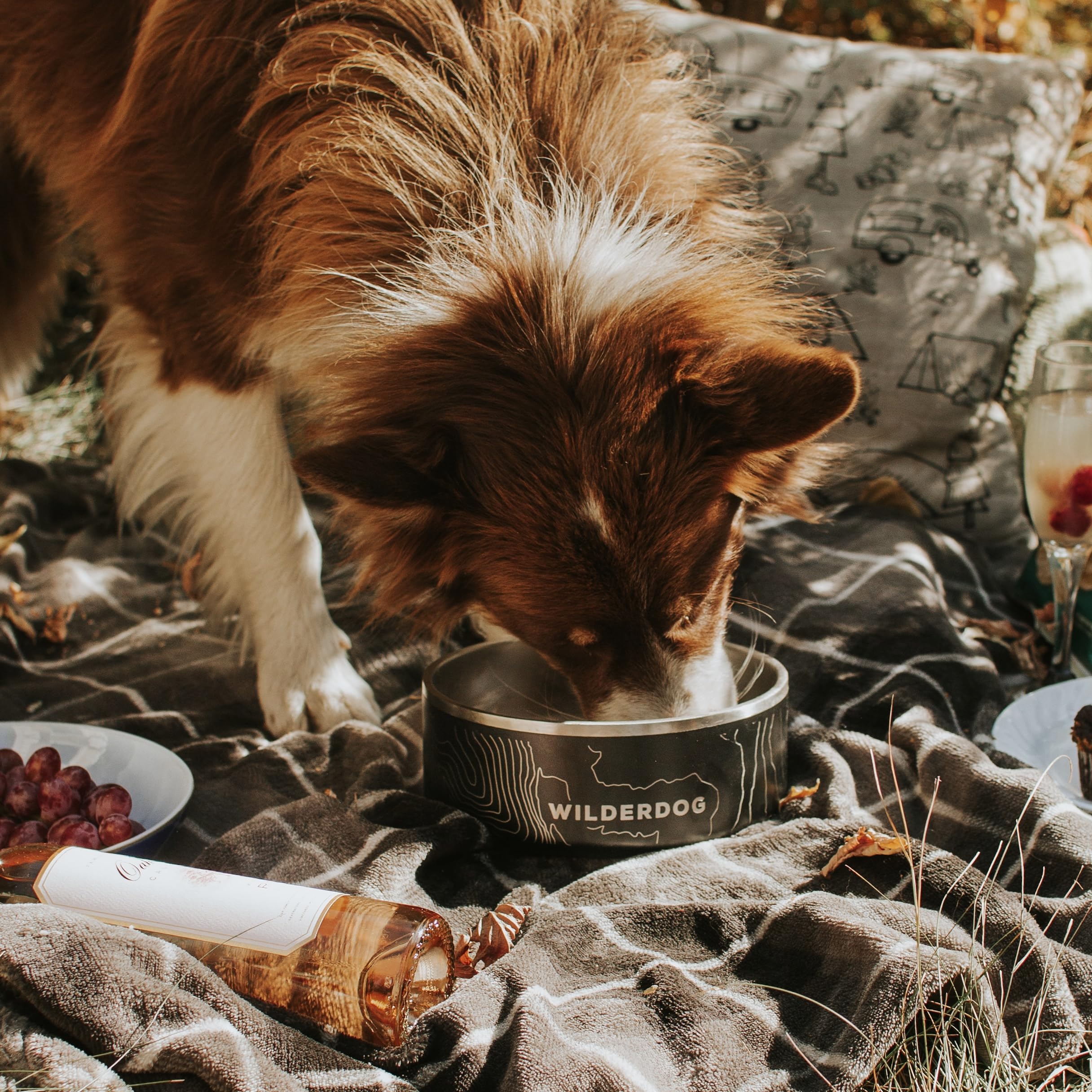 Wilderdog tazón seguro para mascotas en casa.