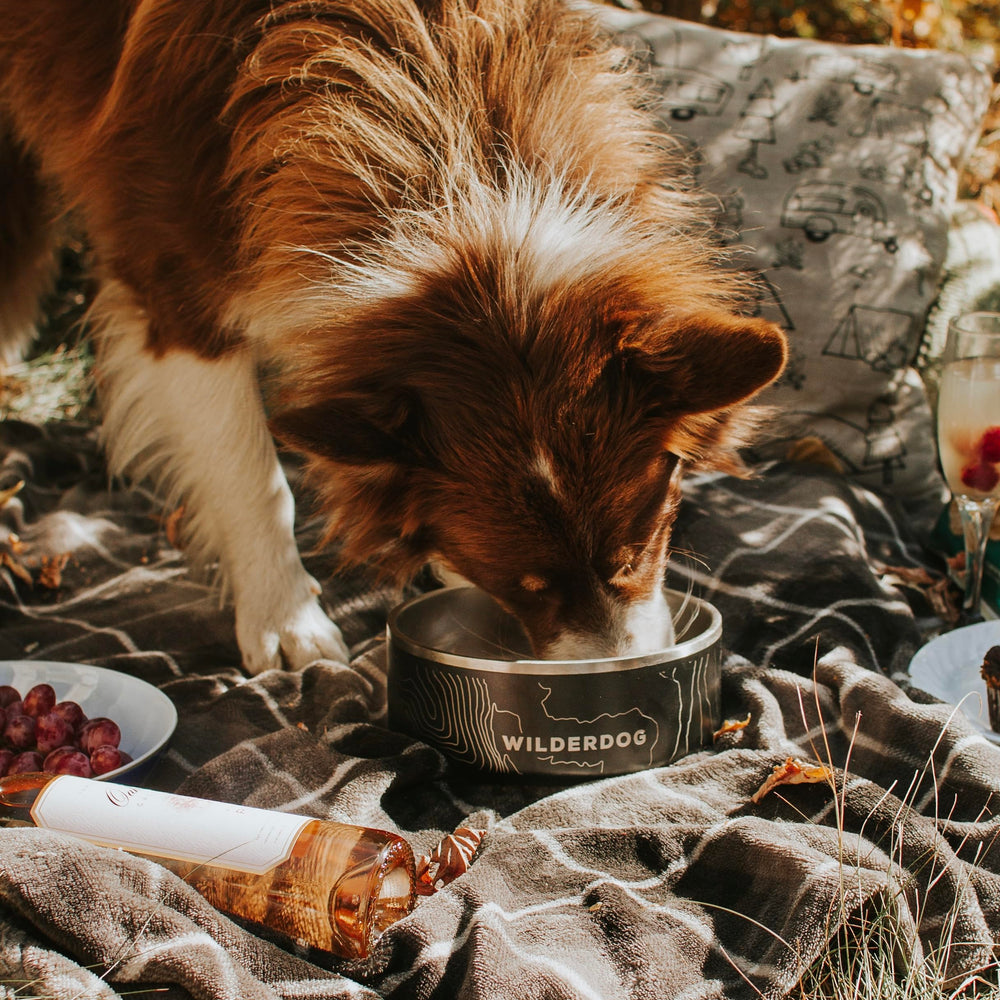 Wilderdog tazón seguro para mascotas en casa.