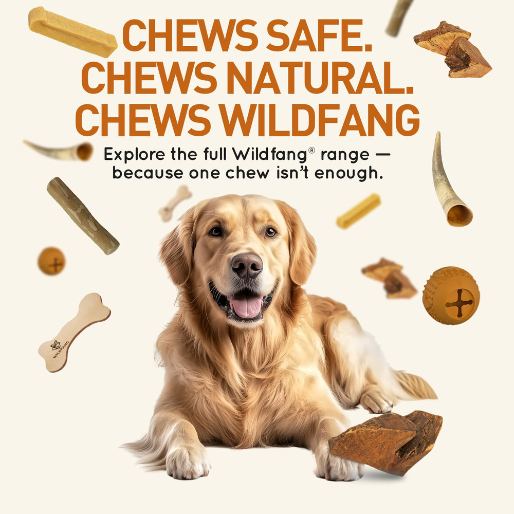 Wildfang Briar Wood: uso diario para perros activos