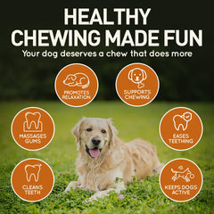 Wildfang juguete de cuero para perro pequeño, hueso 5mm, en uso para masticar suave