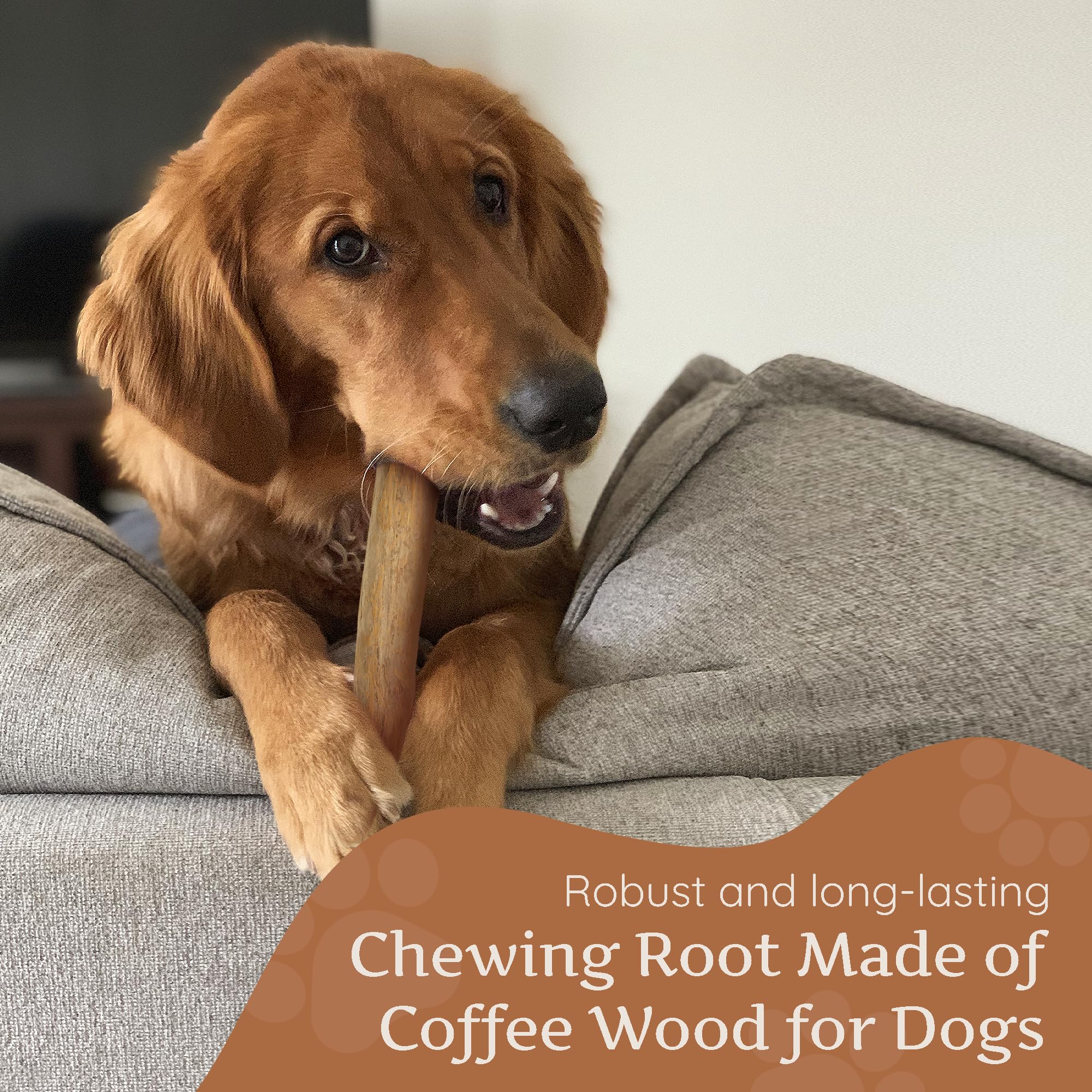 Wildfang mordedor cafe-madera para perros: soporte dental natural durante la masticación