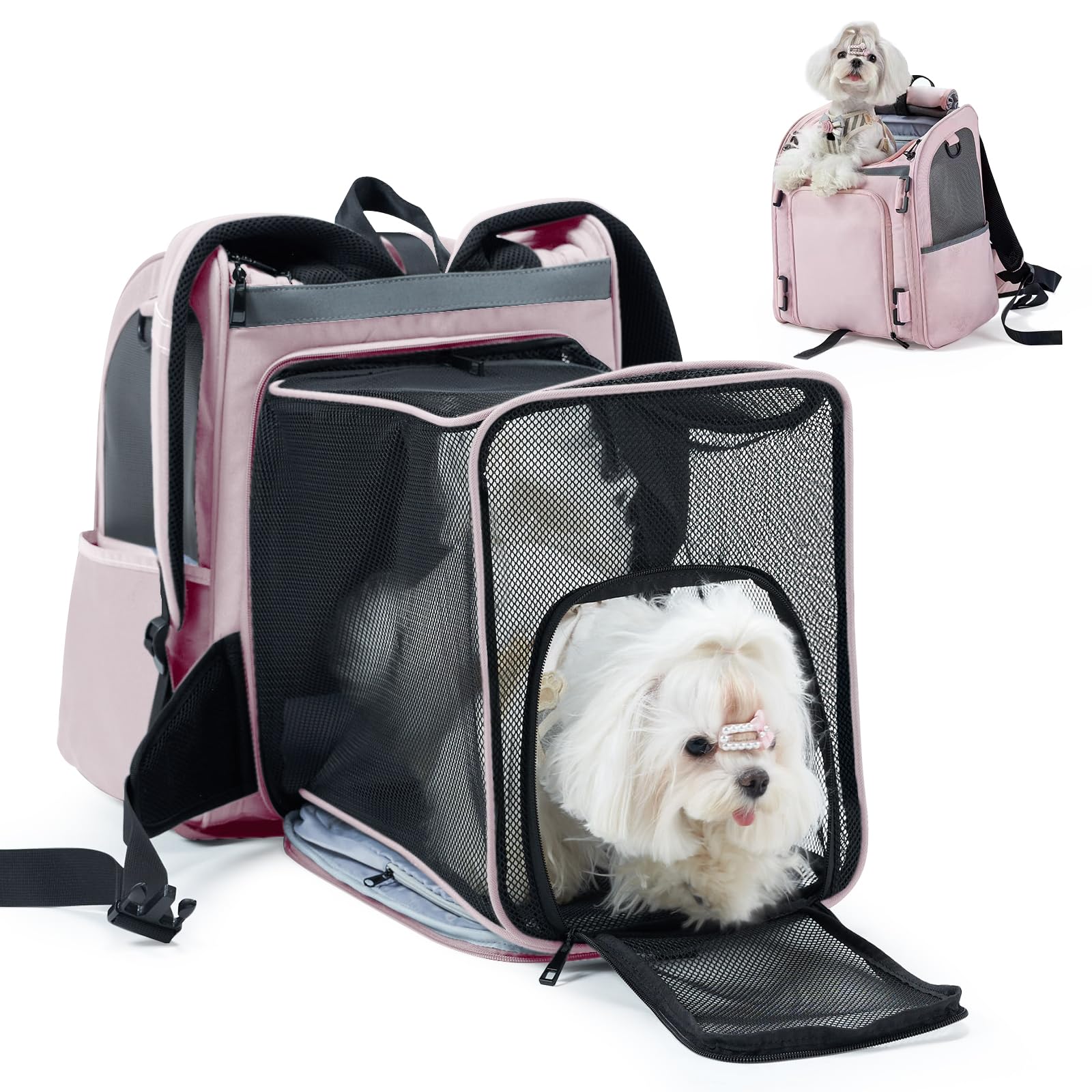 Transportín expandible Wildgogo para mascotas con mayor espacio interior para moverse