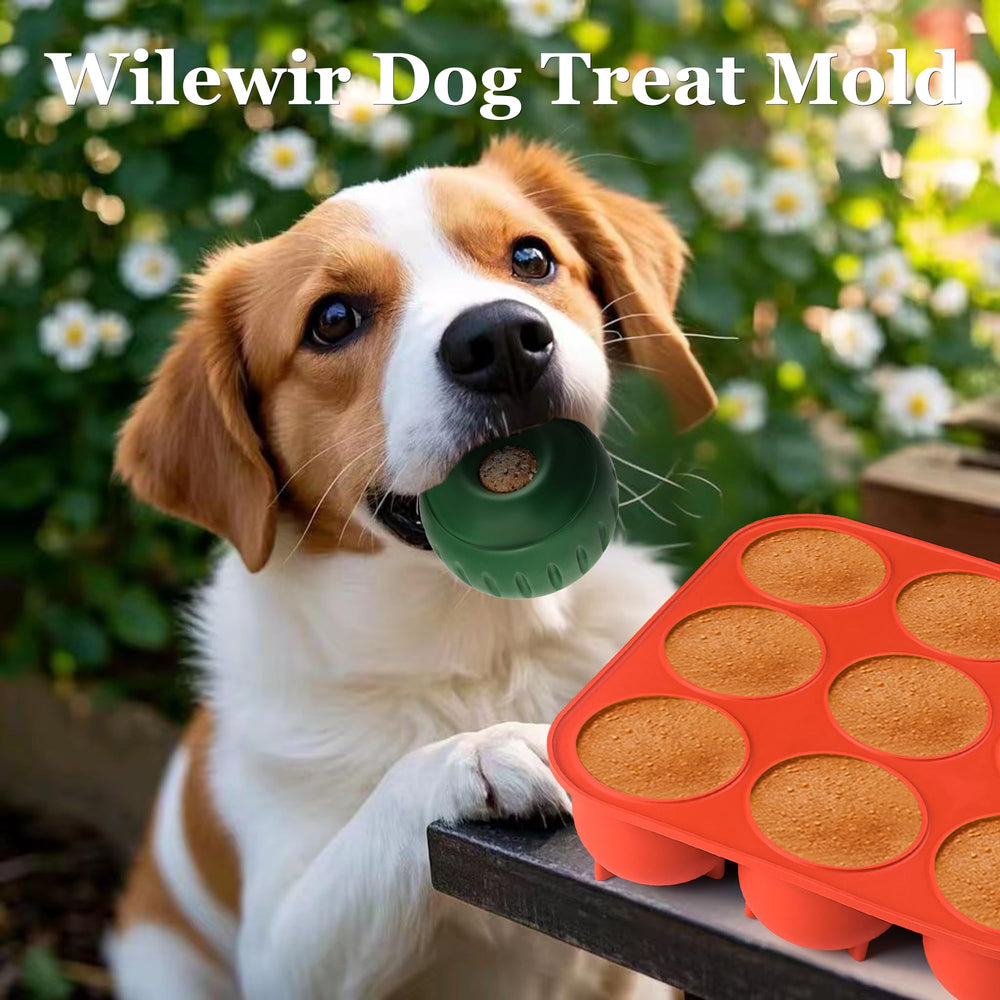 Menú de snacks caseros para perros con Wilewir.
