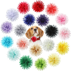 WILLBOND collar lazo flor rosa para perro aporta elegancia y comodidad para paseos.