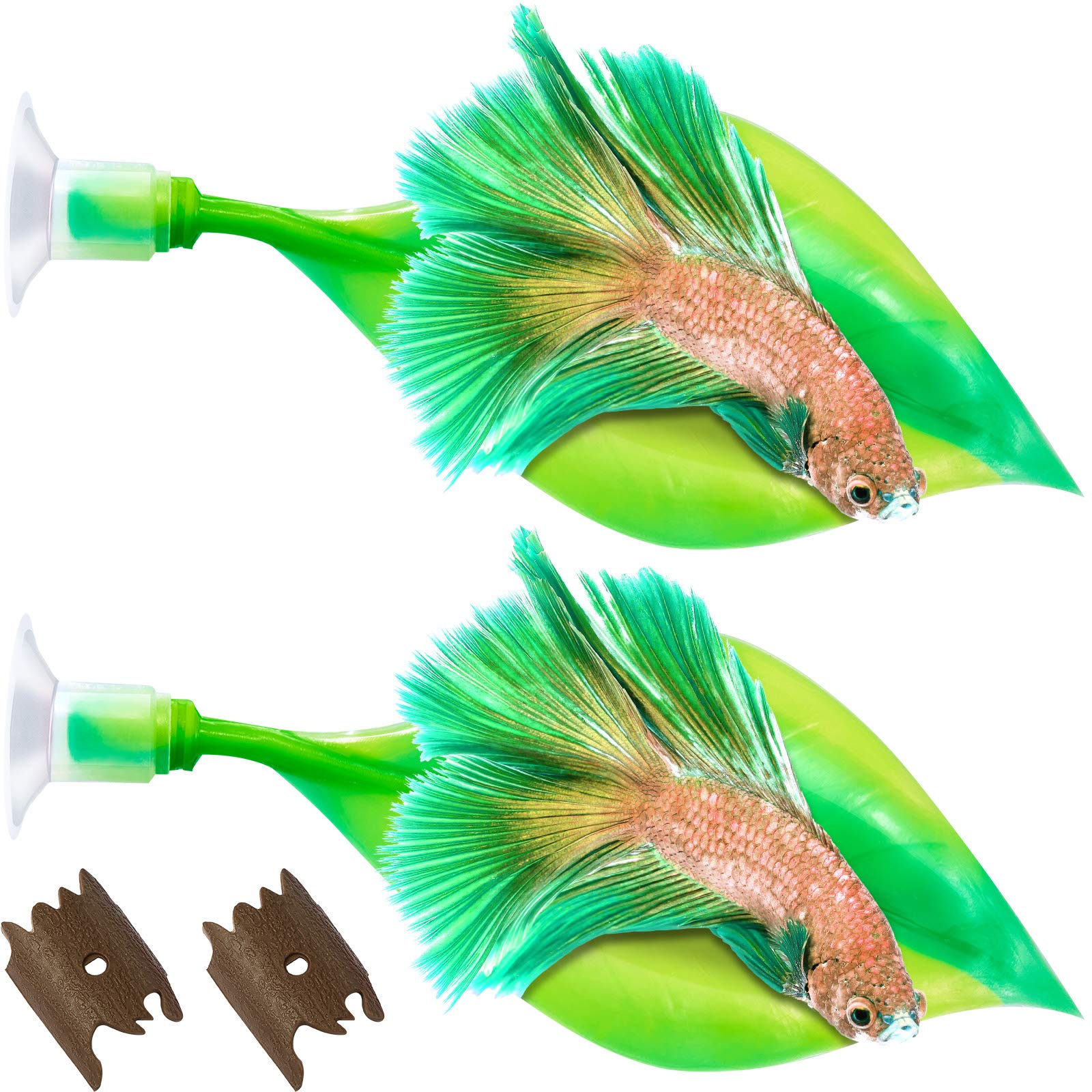 Willbond hoja hamaca betta verde: descanso cerca de la superficie para bettas.