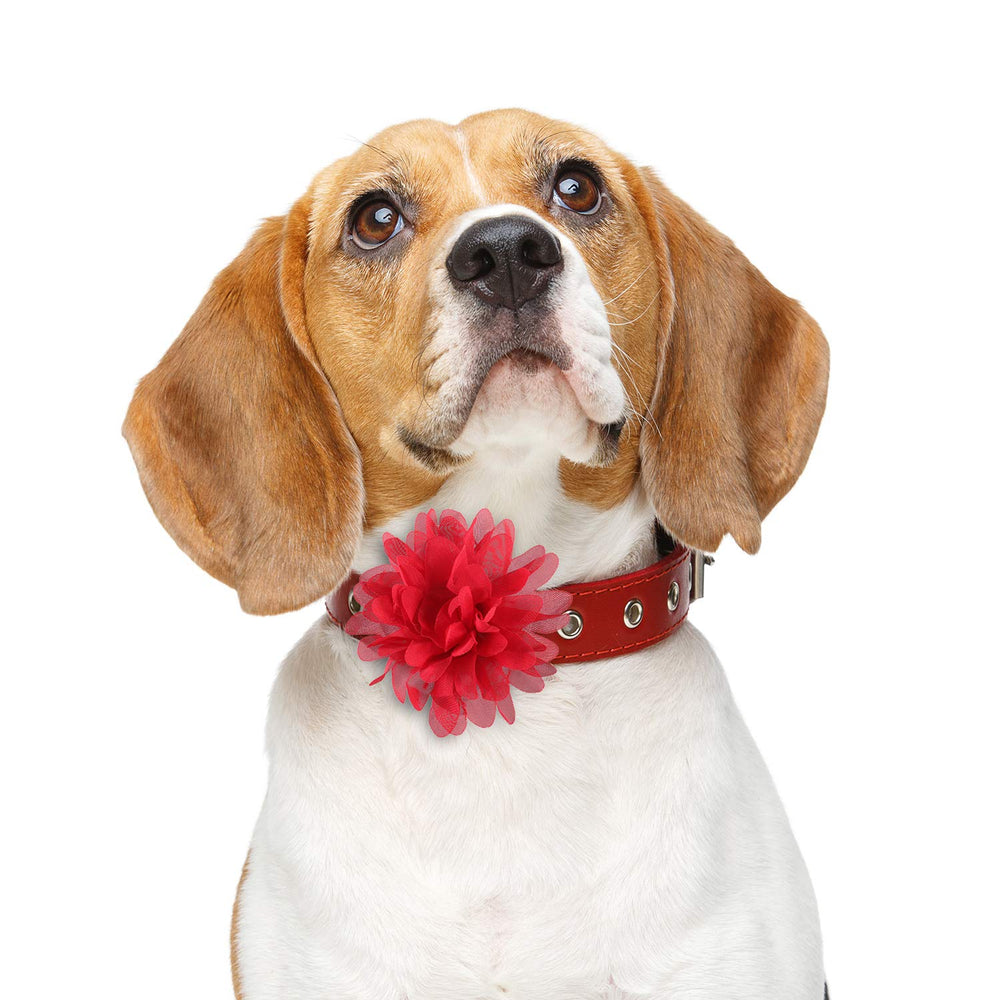 Willbond lazo flor collar boda 4pulgadas, destaca en celebraciones especiales.
