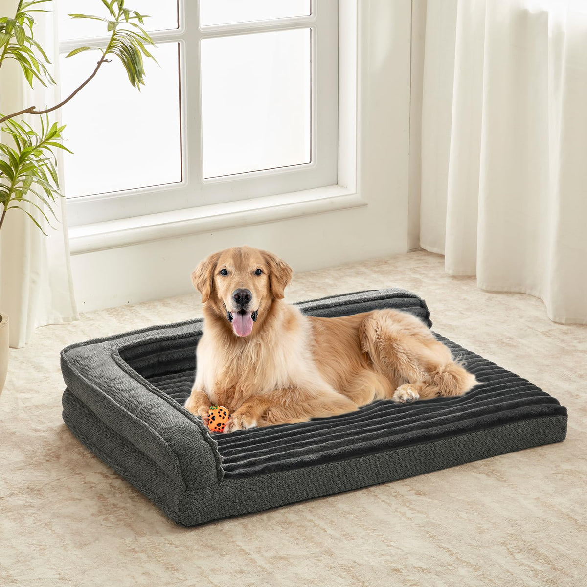Windracing cama ortopédica para perros grandes, vista frontal, soporte para articulaciones
