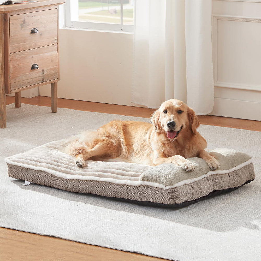 Cama WINDRACING para perro grande en beige, vista exterior y confort cálido.