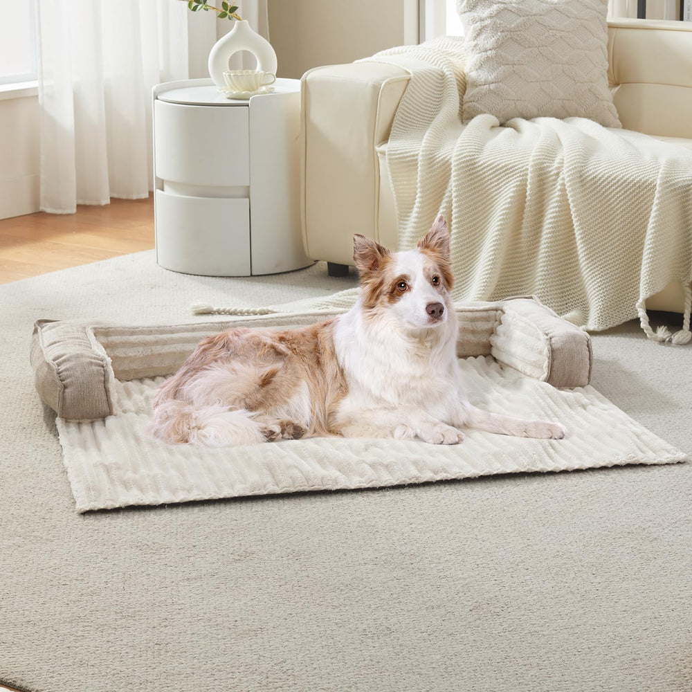 WindRACING cama-perro-sofa-lujo uso versátil en sofá, suelo o coche durante viajes.