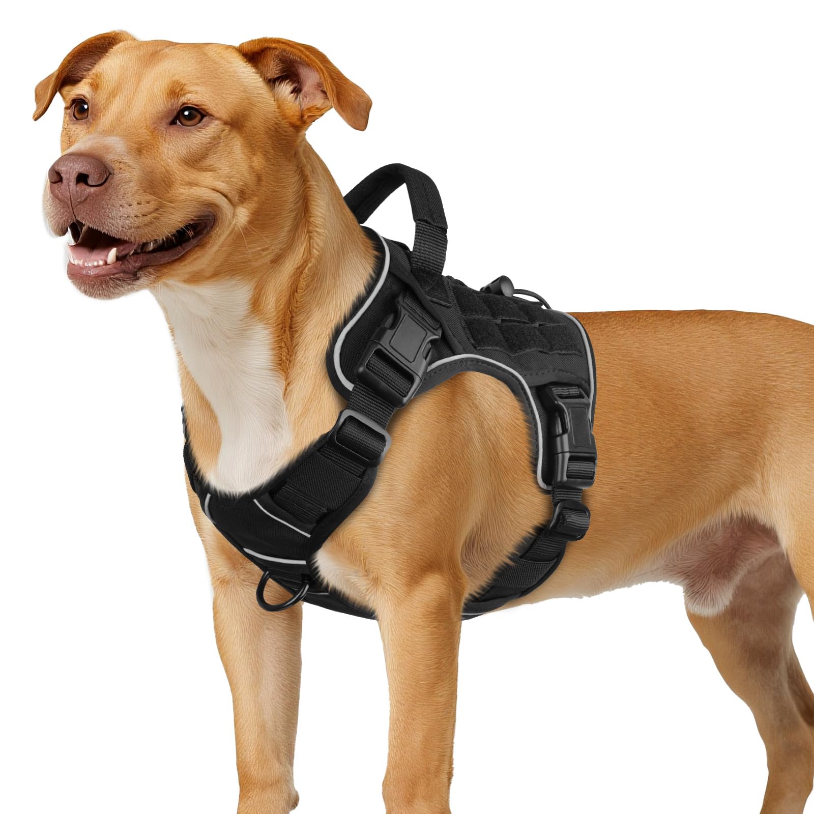 Arnés canino táctico Wingoin, vista frontal para control durante caminatas