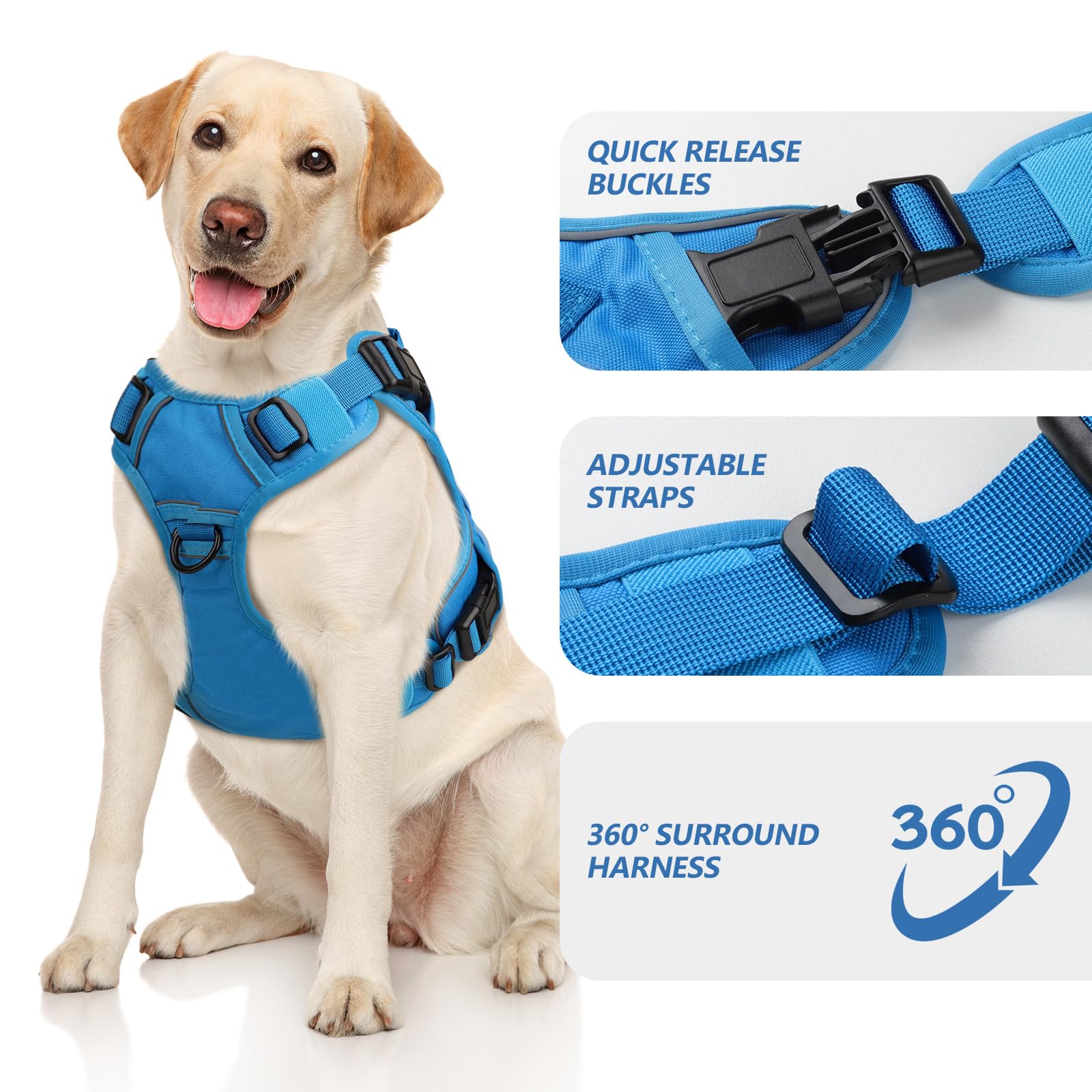 Wingoin arnés lateral azul, diseño robusto para control durante paseos.