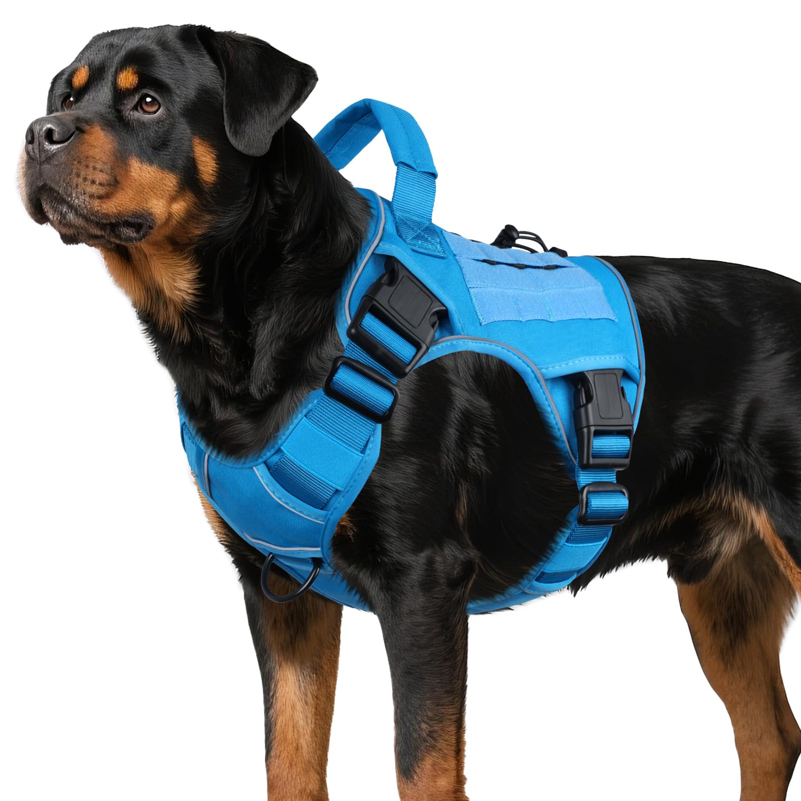 Arnés Wingoin para perros grandes con manija superior para control inmediato.