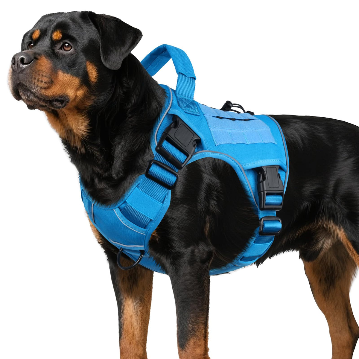 Arnés Wingoin para perros grandes con manija superior para control inmediato.