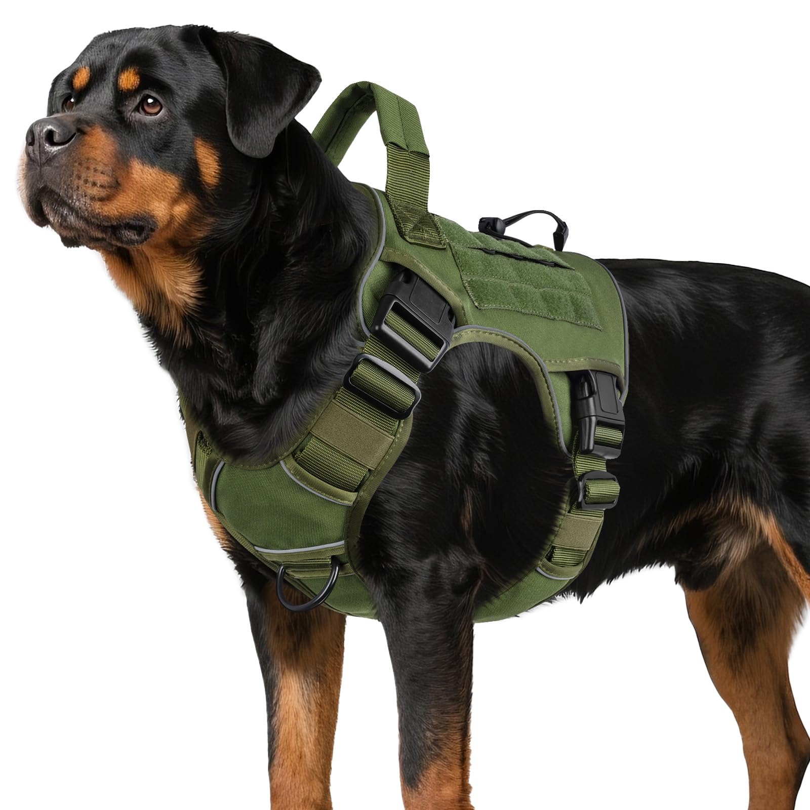Wingoin arnés táctico para perros grandes, cómodo y seguro para paseos.
