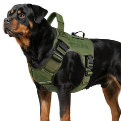 Wingoin arnés táctico para perros grandes, cómodo y seguro para paseos.