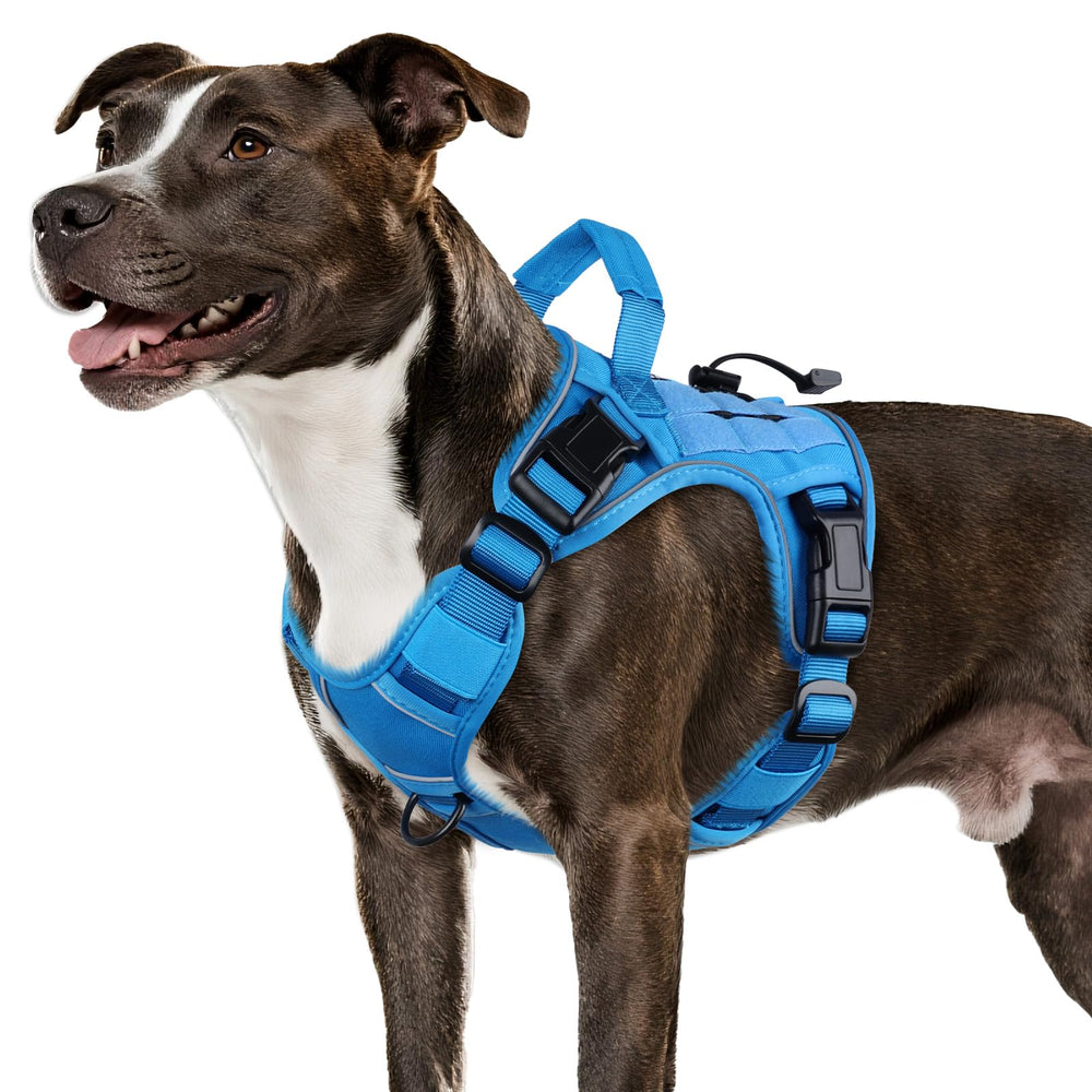 Arnés táctico azul WINGOIN para perro mediano con camuflaje, ideal para caminatas.