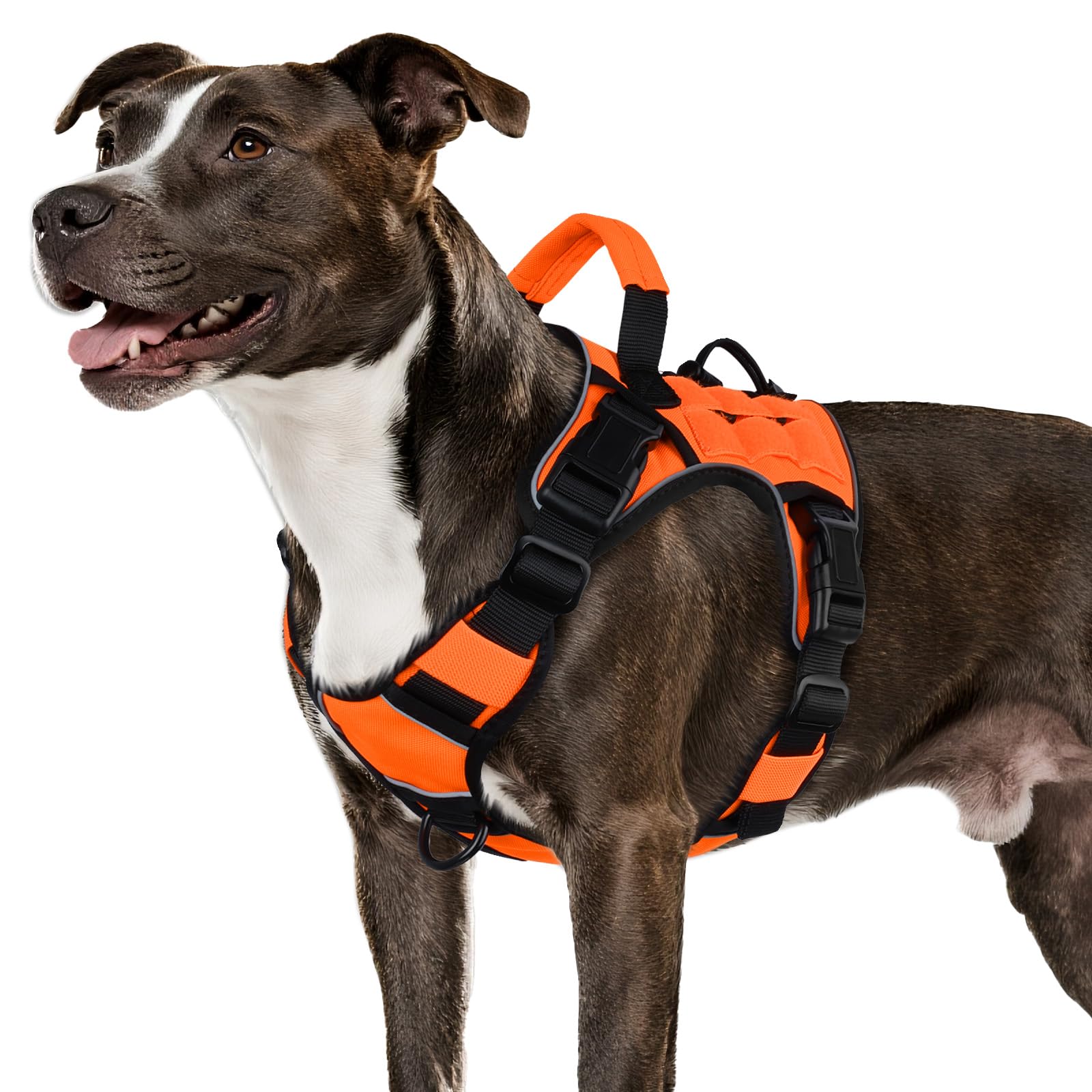 Arnés táctico naranja WINGOIN para perro mediano, cómodo y seguro durante paseos.