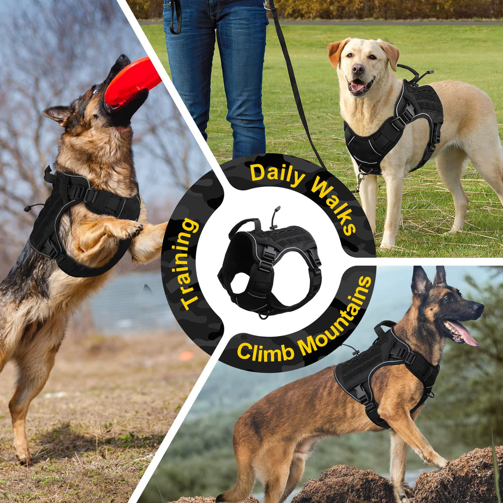 Diseño para husky y doberman, ideal para actividades al aire libre.