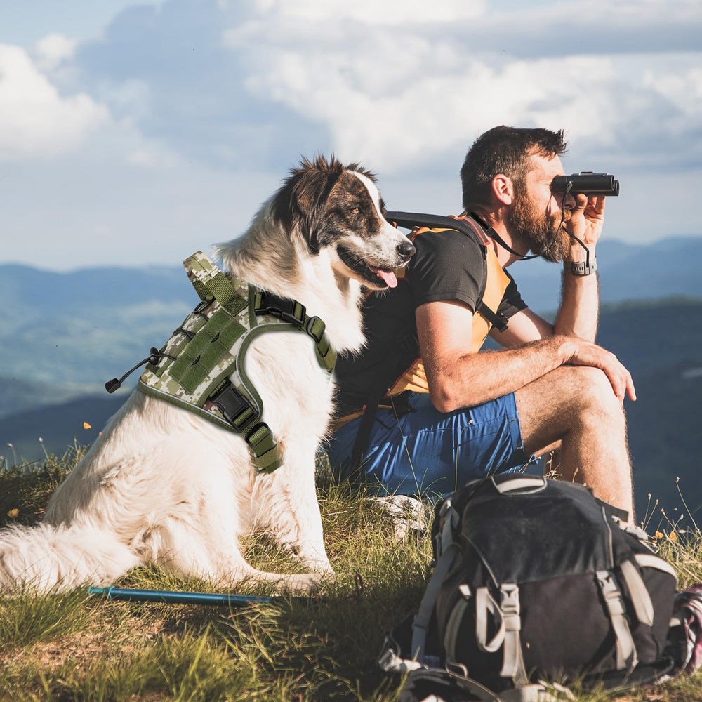 WINGOIN arnés camuflaje verde, diseño duradero para aventuras al aire libre.