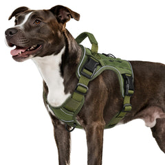 Wingoin arnés táctico en camuflaje para paseos al aire libre