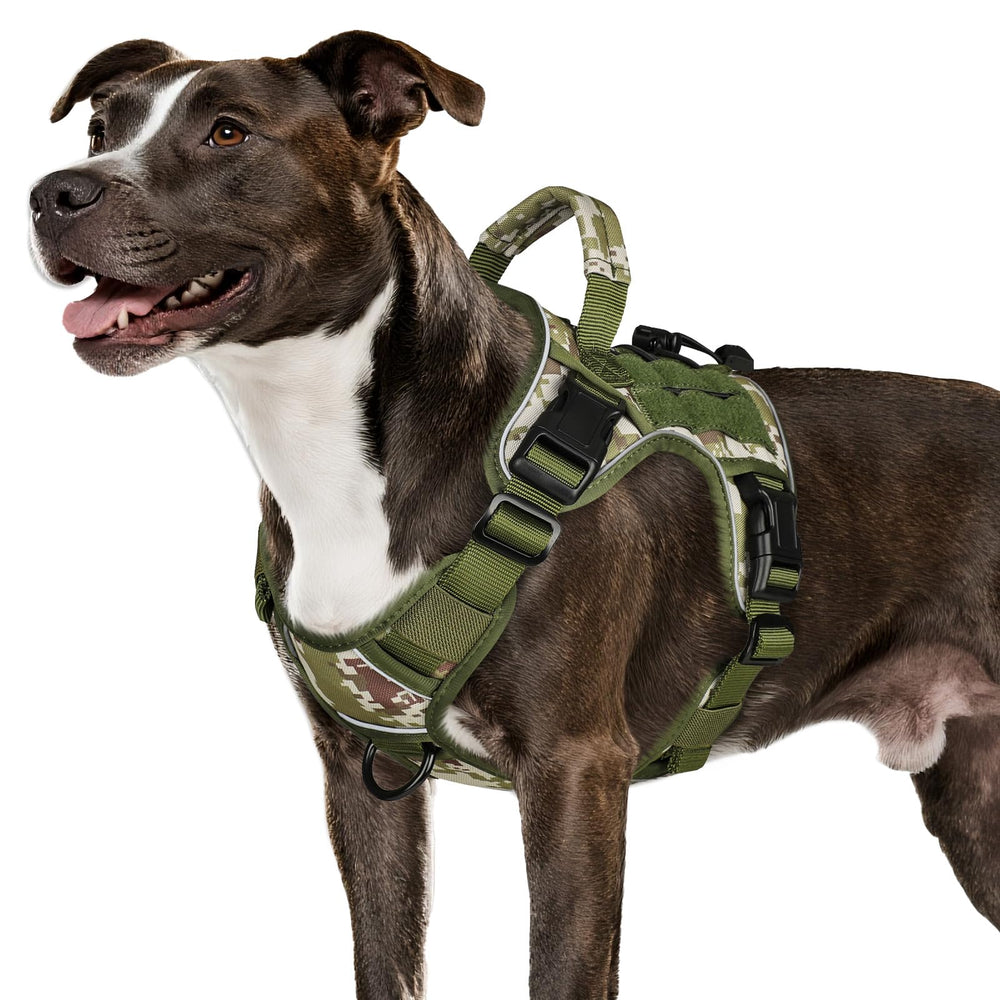 WINGOIN arnés táctico para perro mediano frontal, mejora control y comodidad al caminar.
