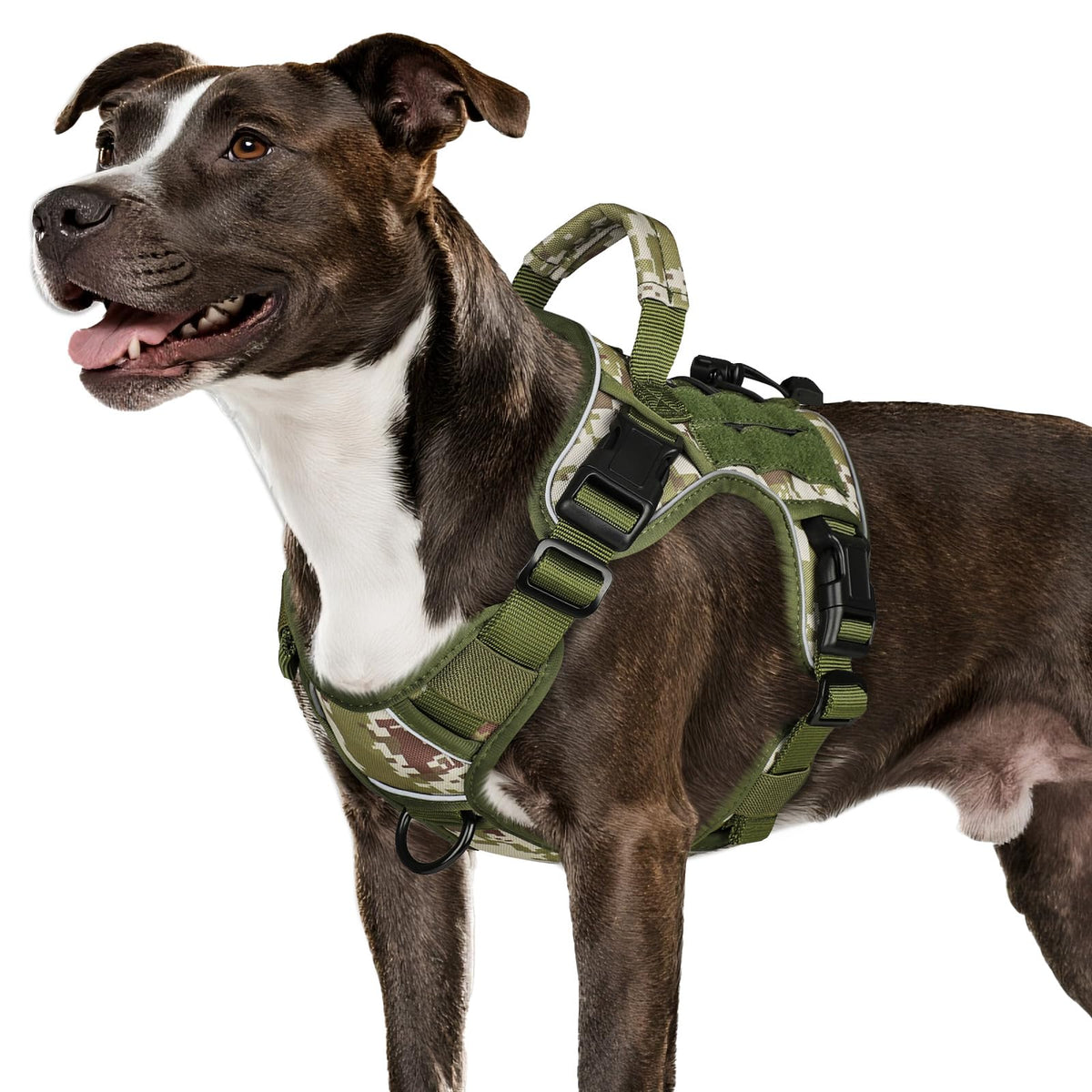WINGOIN arnés táctico para perro mediano frontal, mejora control y comodidad al caminar.