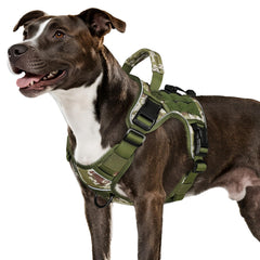 WINGOIN arnés táctico para perro mediano frontal, mejora control y comodidad al caminar.