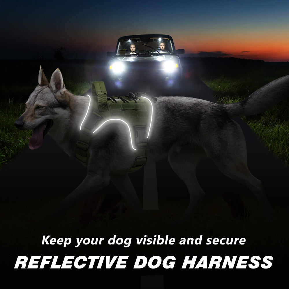 Wingoin cinta reflectante para mayor visibilidad nocturna y seguridad