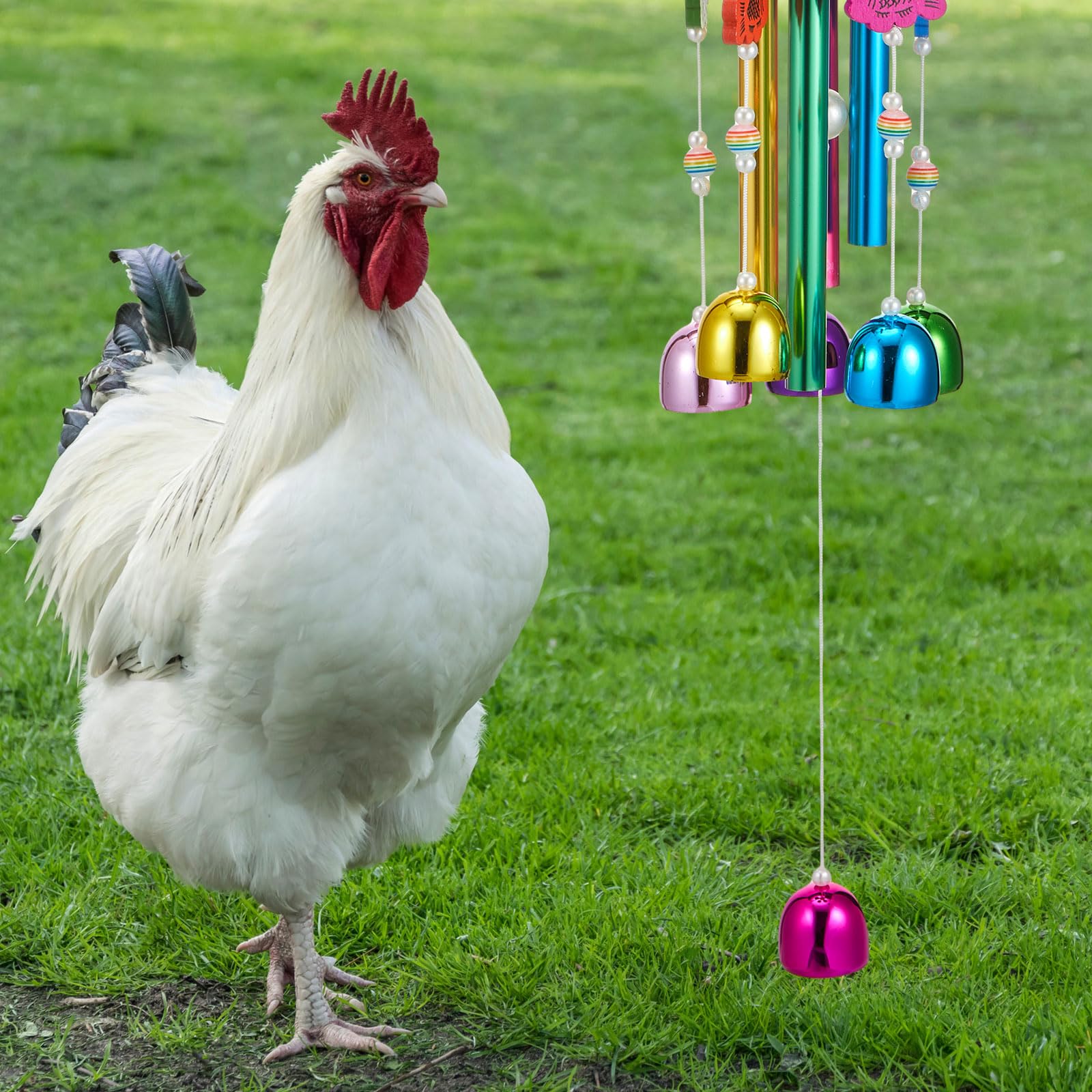WinnerWhy decoración rústica y versátil para aves en el gallinero.