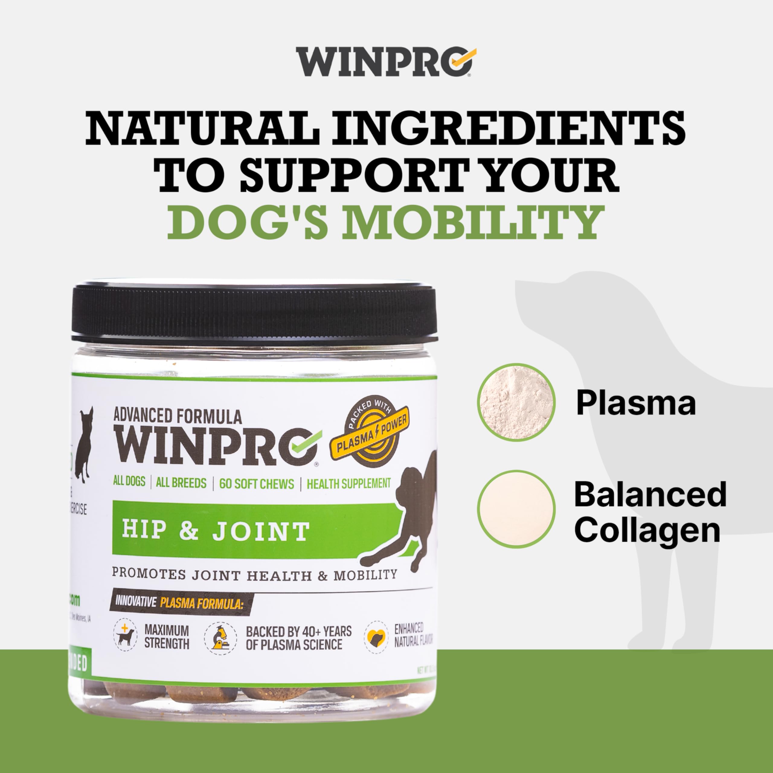 WINPRO Colágeno equilibrado para apoyar tejidos conectivos y movilidad.