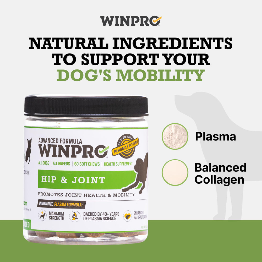 WINPRO Colágeno equilibrado para apoyar tejidos conectivos y movilidad.