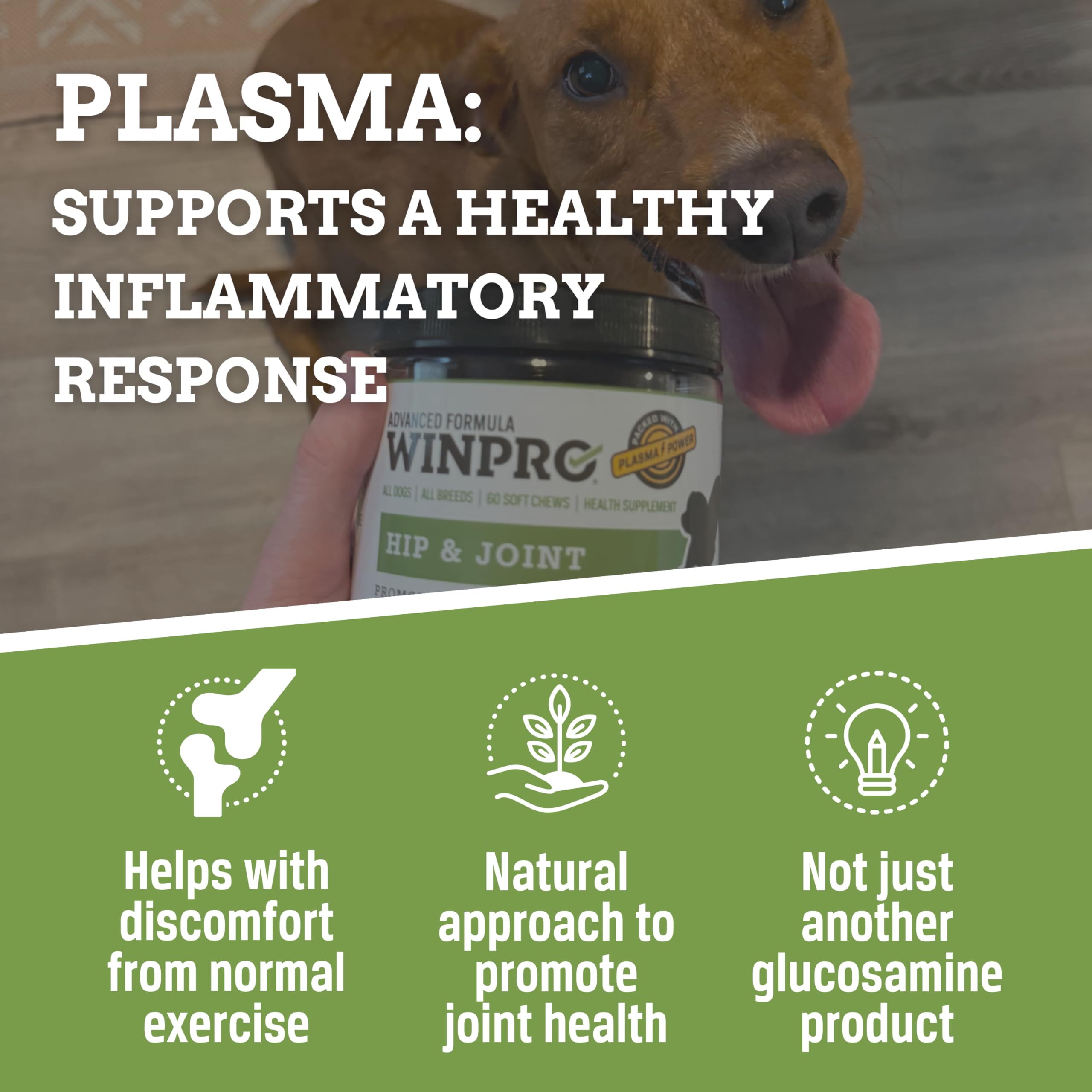 WINPRO Disfruta la vida activa de tu perro gracias a los premios suaves.