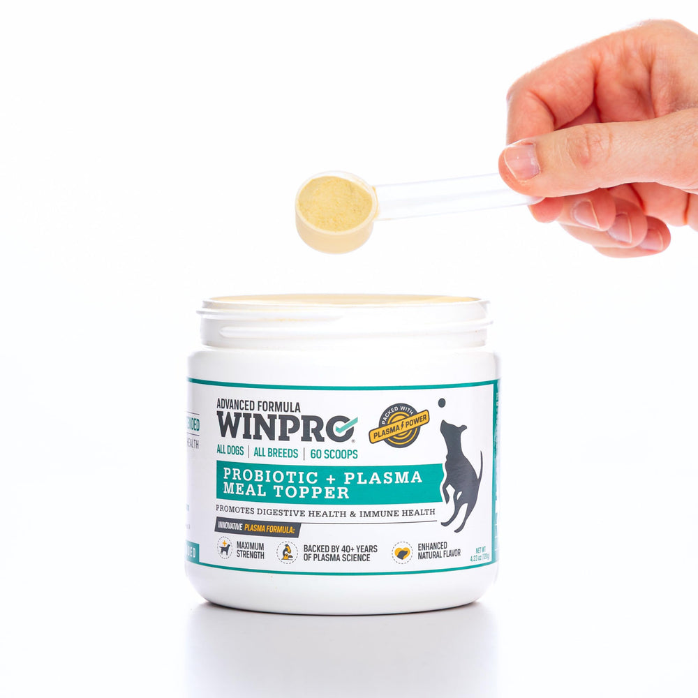 WINPRO ingredientes naturales para una experiencia digestiva suave.