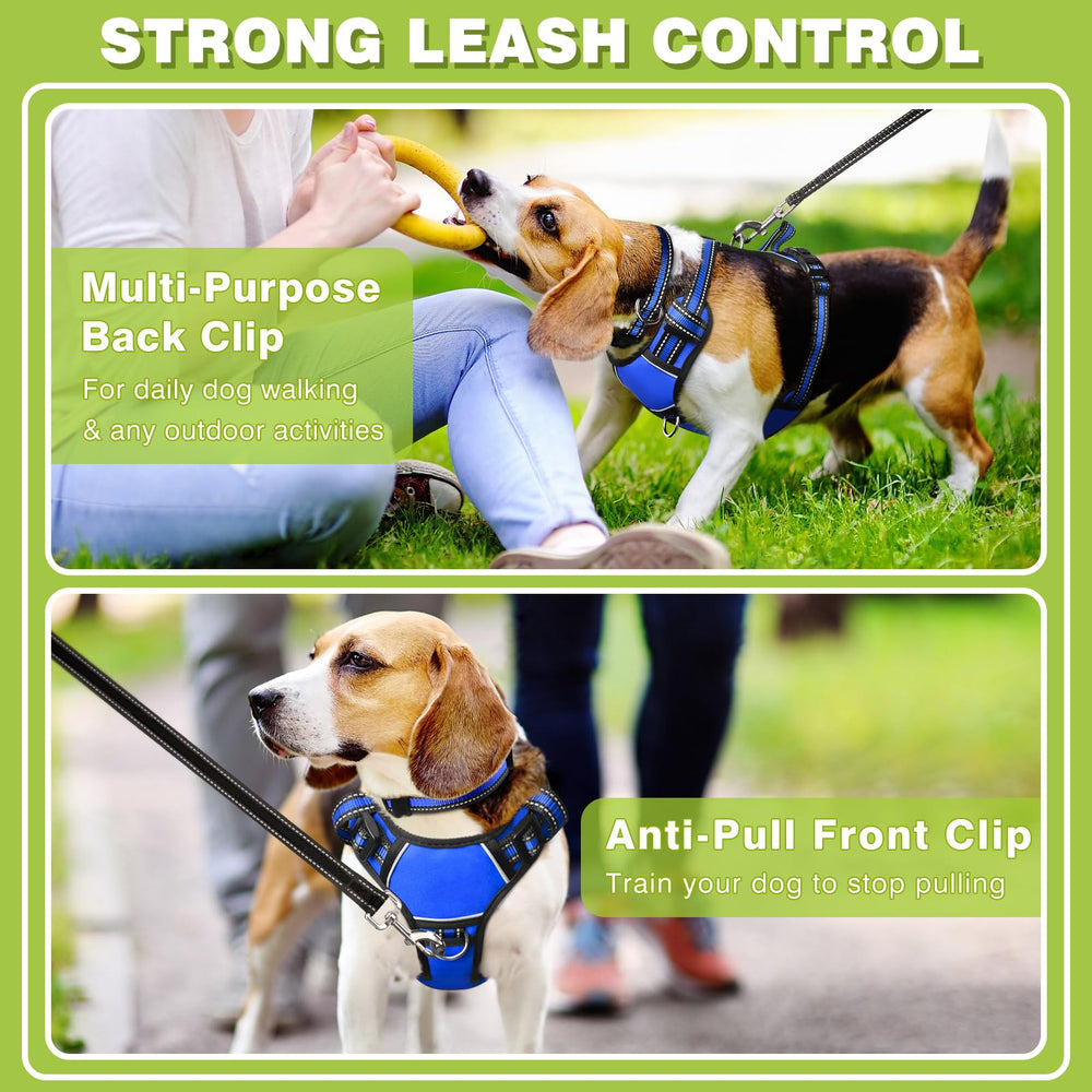 WINSEE arnés con asa trasera robusta para asistir a tu perro.