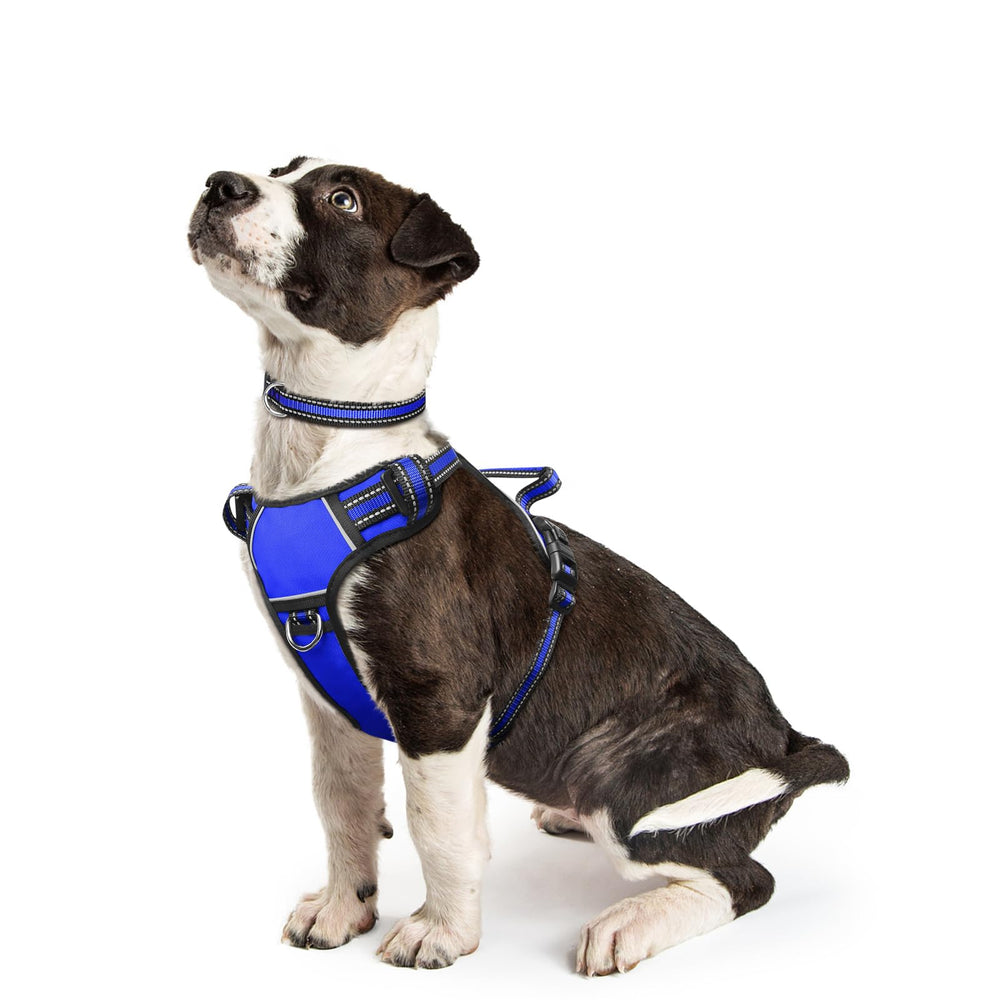 WINSEE arnés para perro con clip frontal, ideal para control durante paseos.