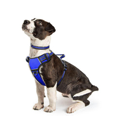WINSEE arnés para perro con clip frontal, ideal para control durante paseos.