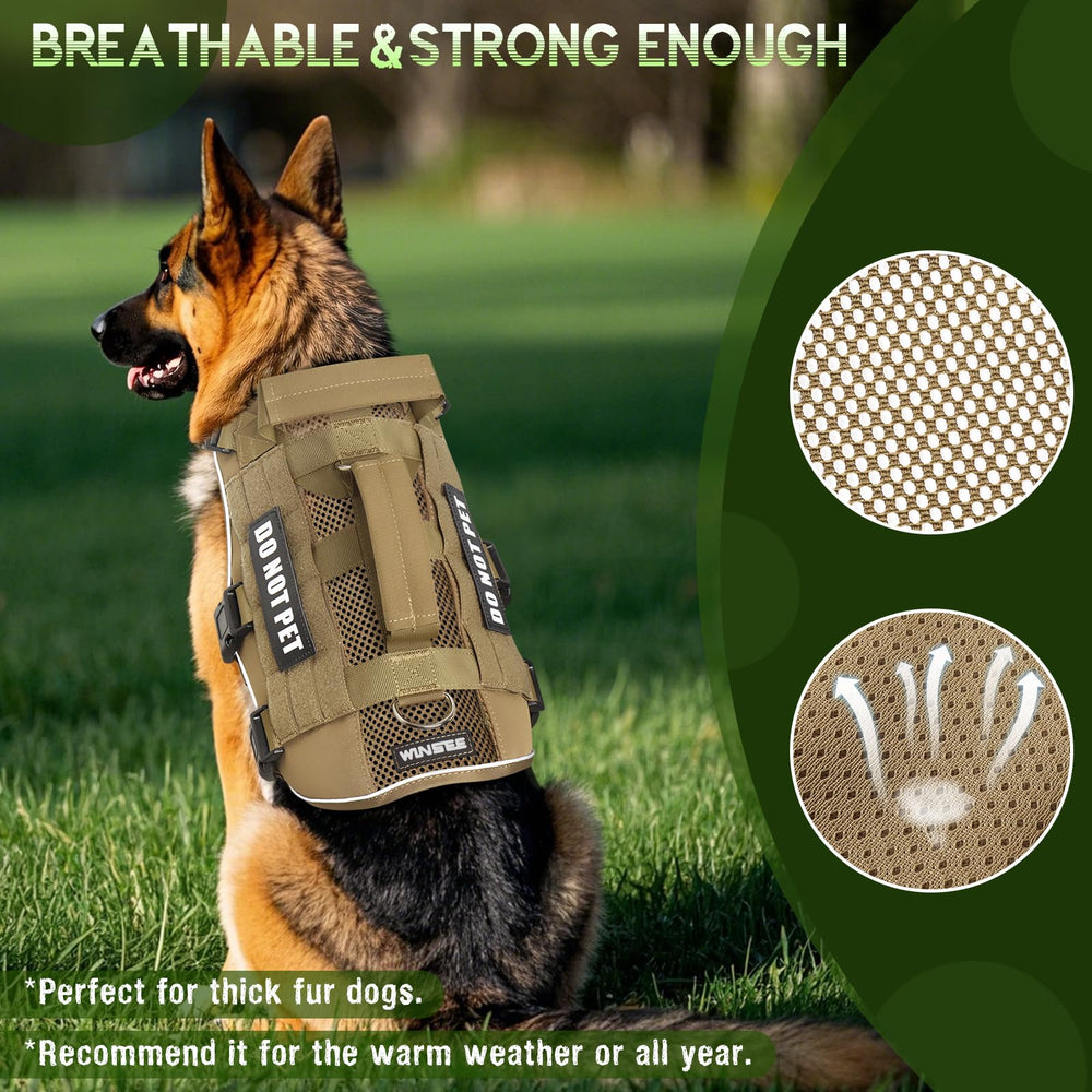ARNÉS WINSEE con sistema MOLLE para añadir bolsos y accesorios.