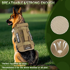 ARNÉS WINSEE con sistema MOLLE para añadir bolsos y accesorios.