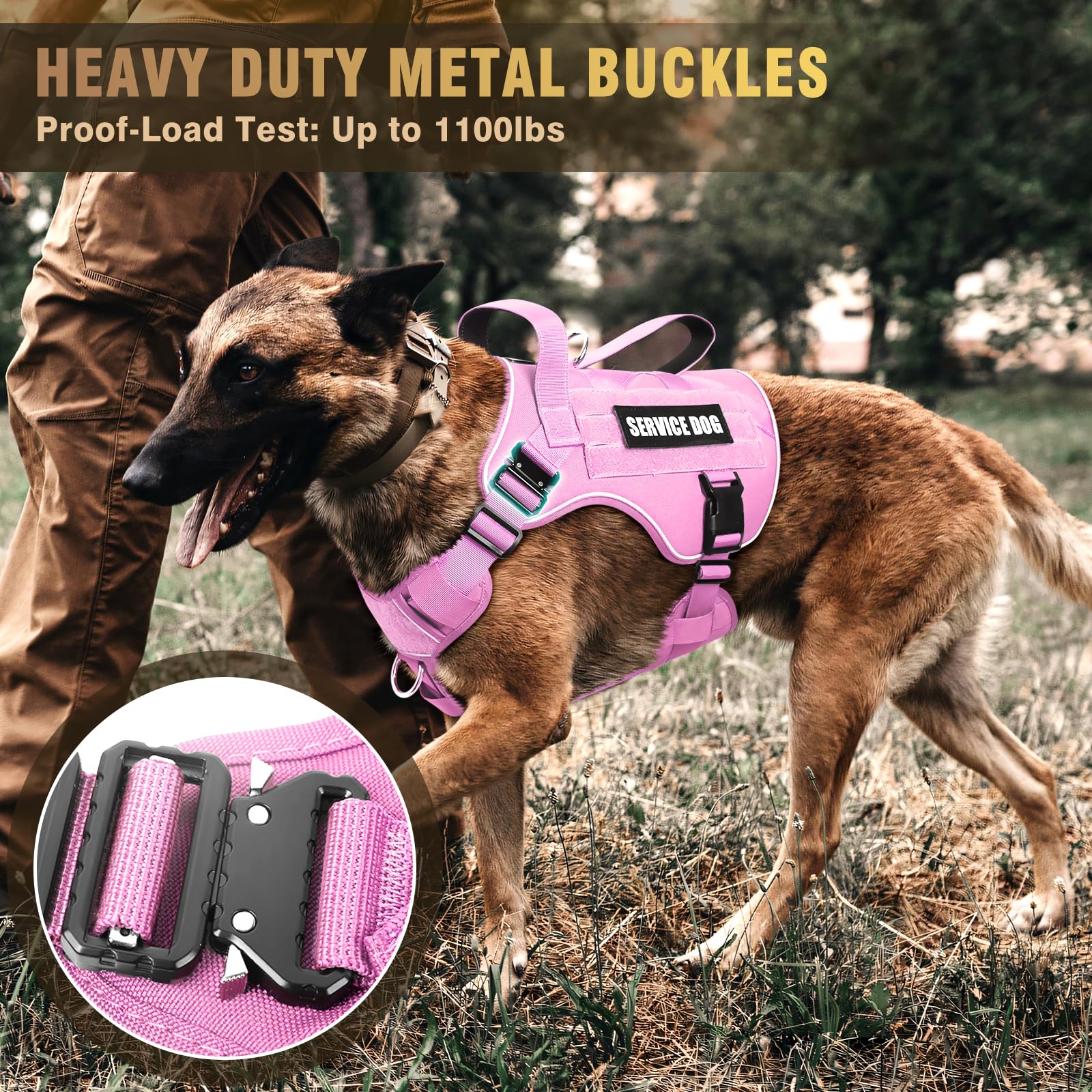 Parches decorativos WINSEE para personalizar la chaqueta del perro.